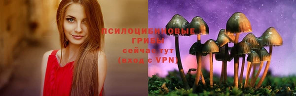 первитин Бородино