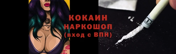 дживик Бронницы