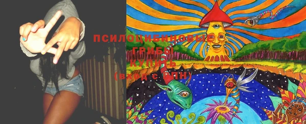дживик Бронницы
