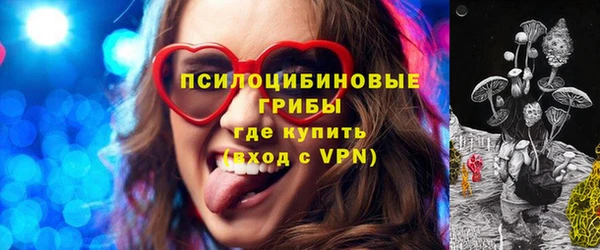 дживик Бронницы