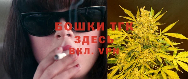 дживик Бронницы