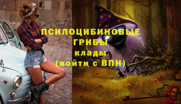 первитин Бородино