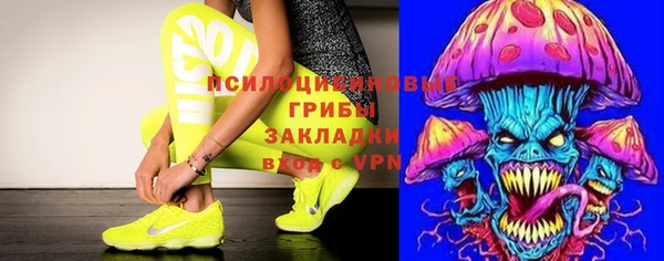дживик Бронницы