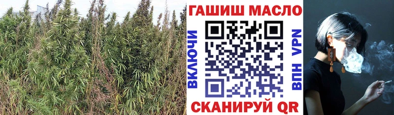 ТГК THC oil  Купить где  Барнаул 