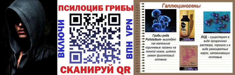 Галлюциногенные грибы ЛСД Барнаул