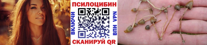 Галлюциногенные грибы MAGIC MUSHROOMS  Купить  Барнаул 